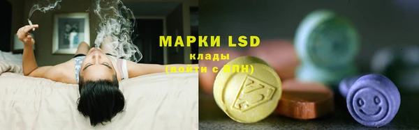 PSILOCYBIN Алексин