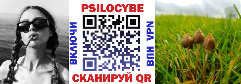 Псилоцибиновые грибы прущие грибы  Воткинск 